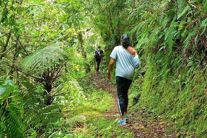 Private Guided Hiking Tour to the Blue Mountains - The Practical Details