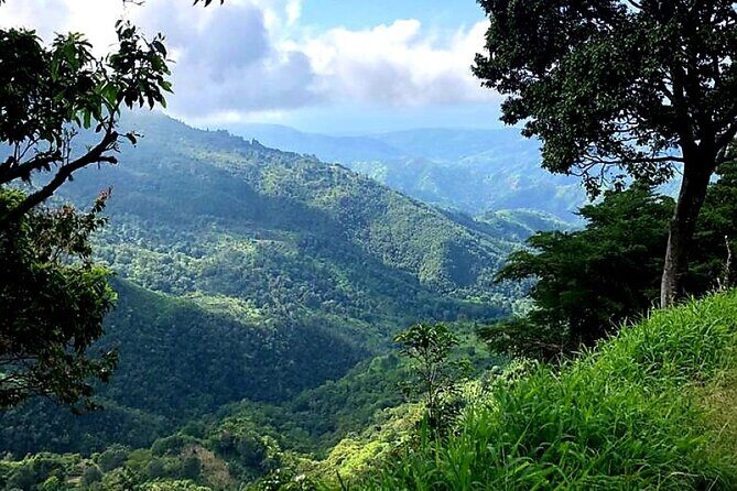 Private Guided Hiking Tour to the Blue Mountains - The Sum Up: Who It’s Best For