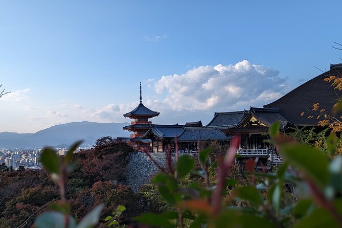 Private Guided Historical Sightseeing Tour in Kyoto - Tour Duration and Pick-up Location