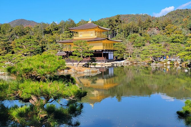 Private Guided Historical Sightseeing Tour in Kyoto - Viator Traveler Reviews