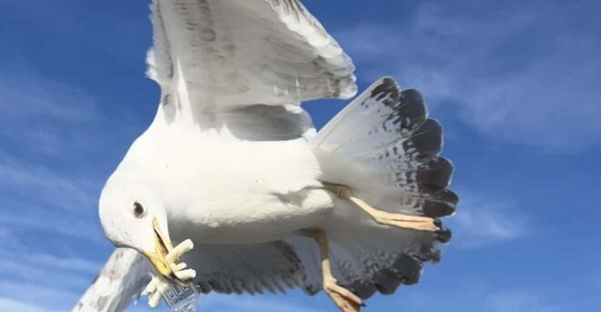 Private Guided Istanbul Luxury Tour (Tickets and Transfers) - Highlights and Historical Significance