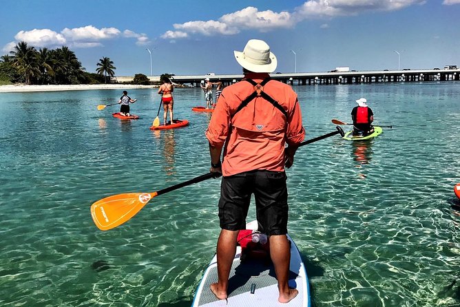 Private Guided Kayak or SUP Eco Adventure - Meeting and Pickup