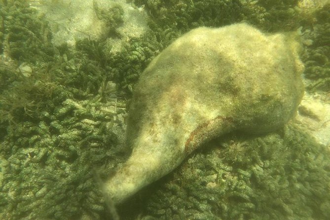Private Guided Kayak or SUP Eco Adventure - Cancellation Policy