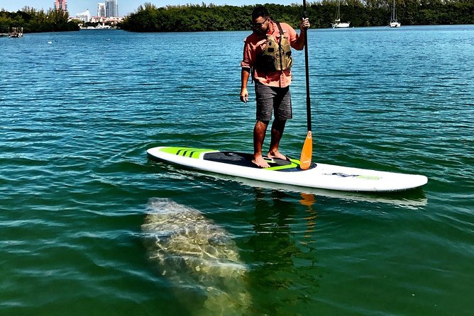Private Guided Kayak or SUP Eco Adventure - Common Questions
