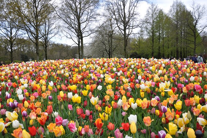 Private Guided Keukenhof Gardens and Zaanse Schans Tour - Tour Duration and Group Size