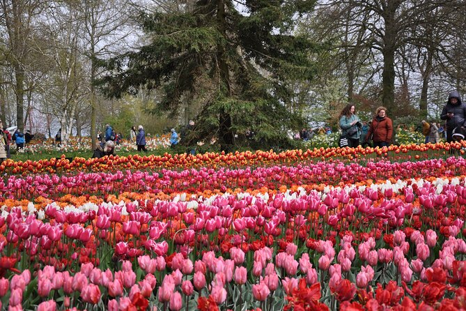 Private Guided Keukenhof Gardens and Zaanse Schans Tour - Reviews