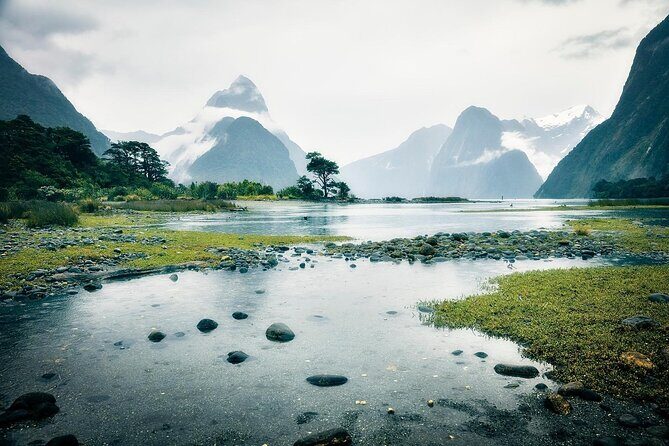 Private Guided Milford Sound Tour ex Queenstown - Practical Details: What to Expect
