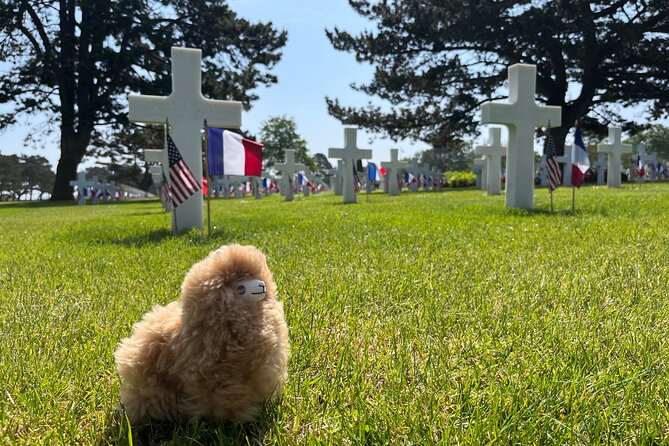 Private Guided Mont Saint Michel & D-Day Tour From Paris - Additional Information and Contact Details