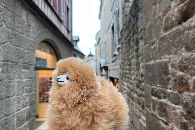 Private Guided Mont Saint Michel & D-Day Tour From Paris - Lowest Price Guarantee Details