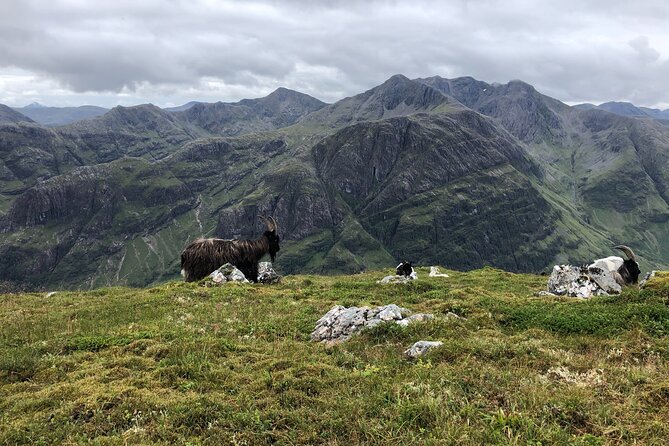 Private Guided Mountain Walking Experience in the Cairngorms - Directions