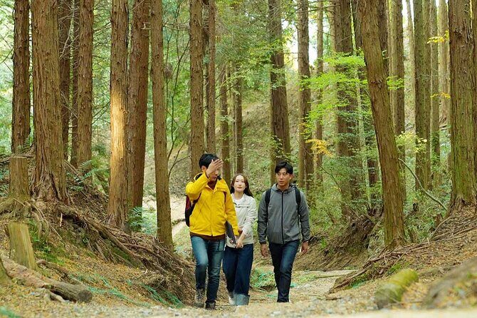 Private Guided Mt. Kunimi Trek - Introduction