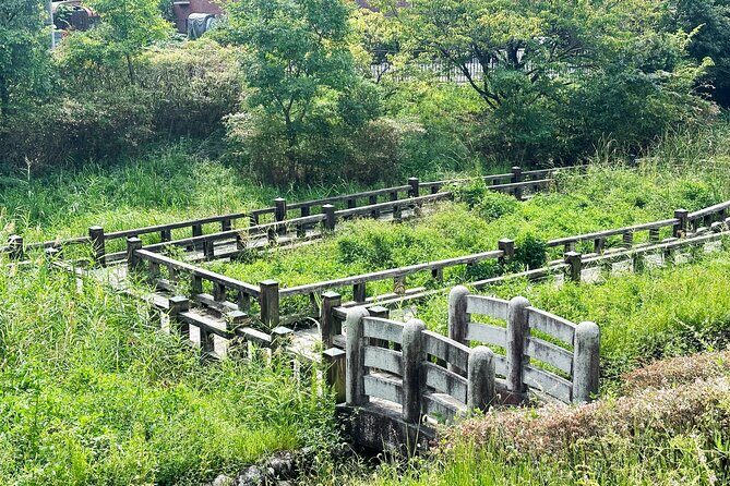 Private Guided Mt. Kunimi Trek - Who Will Enjoy This Tour?