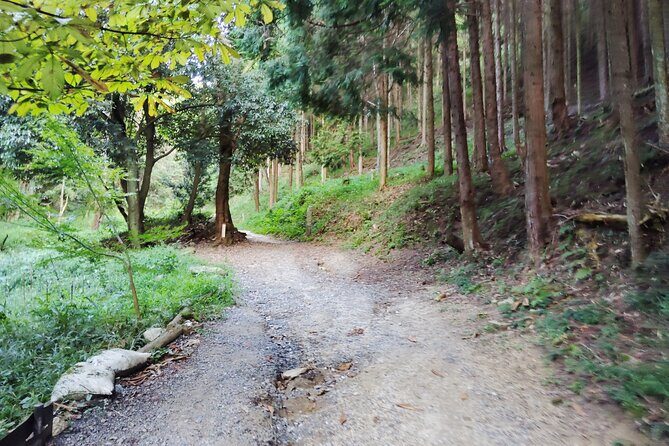 Private Guided Mt. Kunimi Trek - FAQ