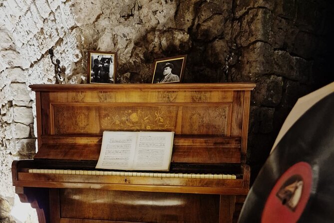 Private Guided Multimedia Exhibition on the History of Sorrento - Terms & Conditions