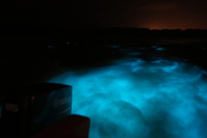 Private Guided Night Tour of Luminous Lagoon in Montego Bay - Booking Information