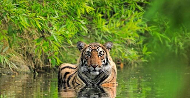 Private Guided Ranthambore National Park Tour From Jaipur - Directions