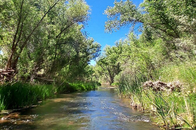 PRIVATE Guided River Kayaking on the Verde River Cottonwood, AZ (PRIVATE Group) - Tour Overview and Experience