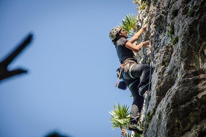 Private Guided Rock Climbing Trips in Puerto Rico - Final Thoughts: Why Choose This Climbing Tour?