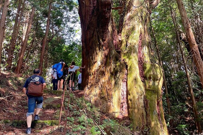 Private Guided Rural E Bike Mini Tour in Aso Minamioguni - Directions