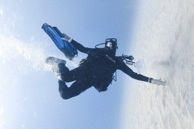 Private Guided Shore Dive - An In-Depth Look at the Private Shore Dive Experience