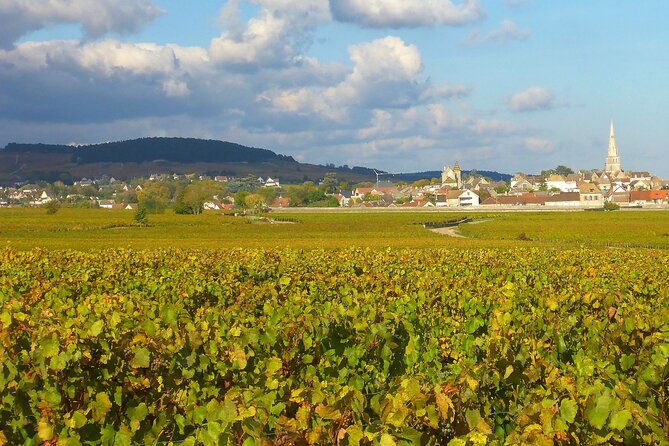 Private Guided Sidecar Tour in Burgundy From Meursault - Questions and Support