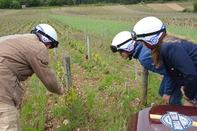 Private Guided Sidecar Tour in Burgundy From Meursault - Background