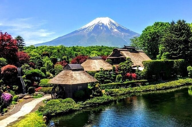 Private Guided Sightseeing Tour To Mount Fuji and Hakone - Tour Details and Itinerary