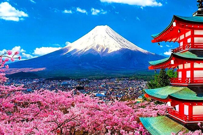 Private Guided Sightseeing Tour To Mount Fuji and Hakone - Cancellation Policy and Refunds