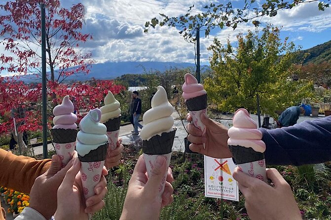 Private Guided Sightseeing Tour To Mount Fuji and Hakone - Reviews and Ratings