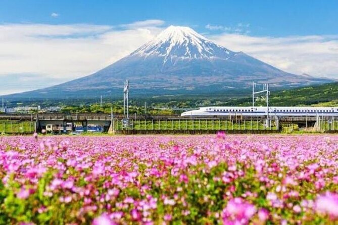 Private Guided Sightseeing Tour To Mount Fuji and Hakone - Common Questions
