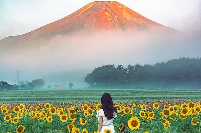 Private Guided Sightseeing Tour To Mount Fuji and Hakone - The Sum Up