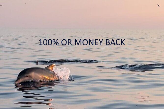 Private Guided Sunset Dolphin Watching in Adriatic Sea - Good To Know