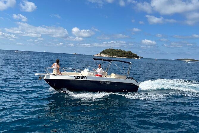 Private Guided Sunset Dolphin Watching in Adriatic Sea - Who Will Love This Tour?