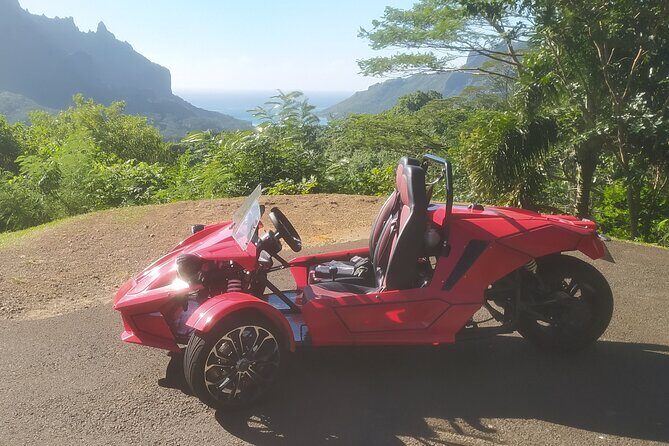 Private Guided Tour around the Moorea Island - Good To Know