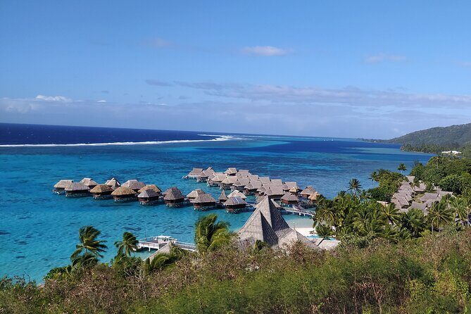 Private Guided Tour around the Moorea Island - Exploring the Highlights in Detail