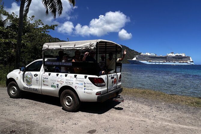 Private Guided Tour around the Moorea Island - Who Will Love This Tour?