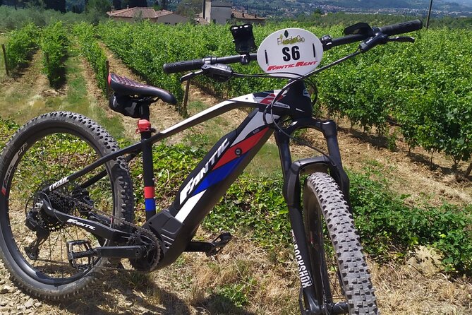 Private Guided Tour by E-Bike and Electric MTB in Fiesole - Tour Highlights