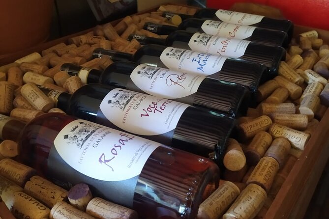 Private Guided Tour by E-Bike and Electric MTB in Fiesole - Health and Safety Information