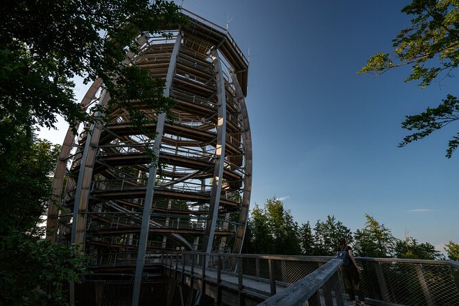Private Guided Tour From Vienna to Hallstatt With Cable Car & Treetop in Gmunden - Highlights