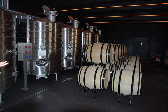 Private Guided Tour in Champagne From Paris With Moet&Chandon Visit. - Questions and Pricing