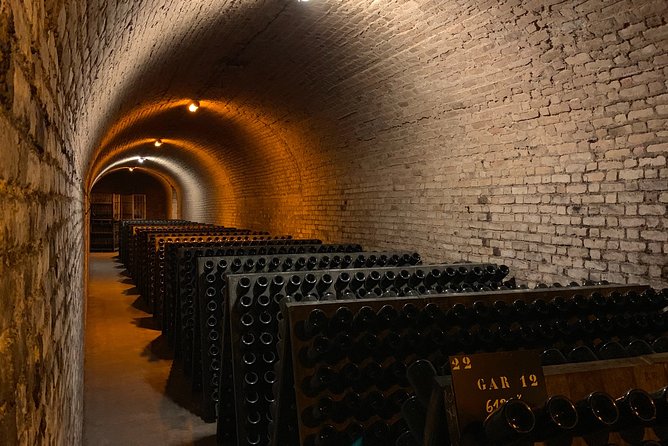 Private Guided Tour in Champagne From Paris With Moet&Chandon Visit. - Additional Information