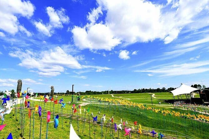 Private Guided Tour in DMZ with Lake (Optional Incheon Layover) - Practical Tips & Considerations