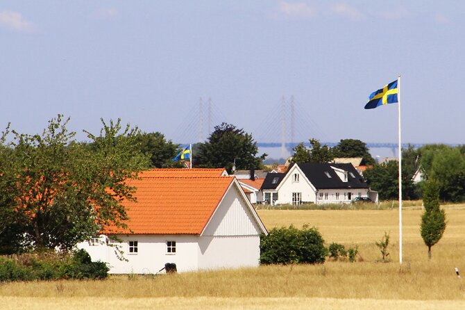 Private Guided Tour in Malmo by Minivan - Why Choose a Private Guided Tour?