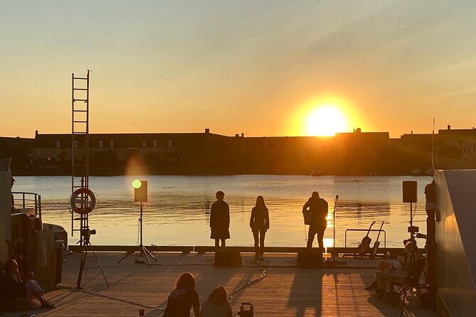 Private Guided Tour in Malmo by Minivan - The Benefits of a Minivan Tour