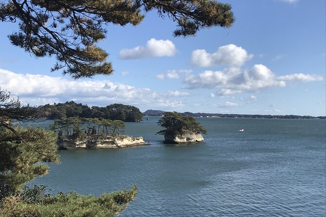 Private Guided Tour in Matsushima - Reviews and Ratings