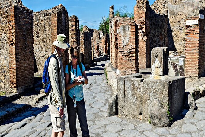 Private Guided Tour in Pompeii - Inclusions