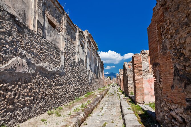 Private Guided Tour in Pompeii - Pickup Options