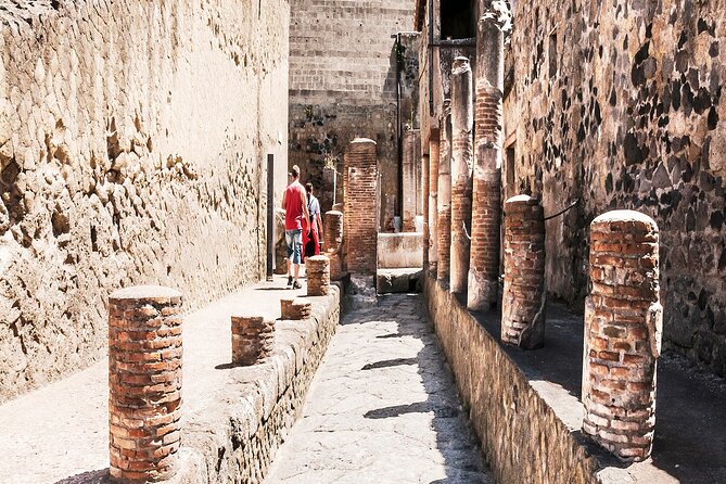 Private Guided Tour in Pompeii - Additional Information