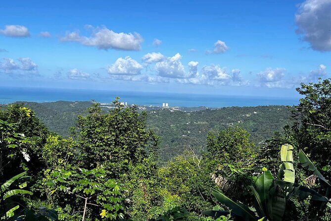 Private Guided Tour in Puerto Rico - The Itinerary Breakdown: What Youll Experience