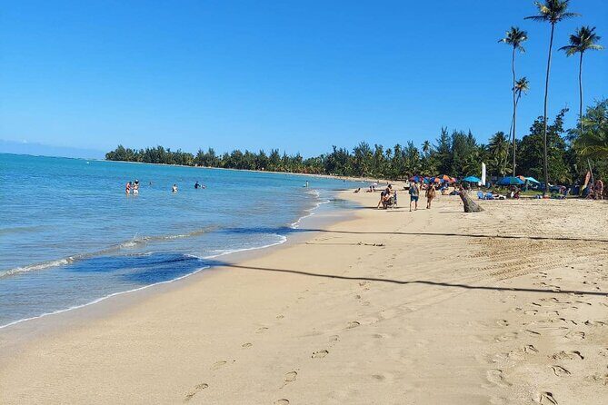 Private Guided Tour in Puerto Rico - The Value of the Experience